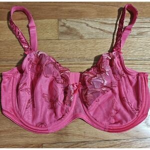 Conturelle Felina Full Cup Bra Magenta Pink 34 E NWOT
